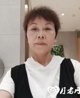 春天的百合