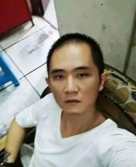 含羞草