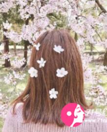 净无痕