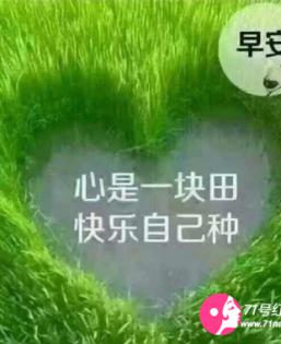 相见