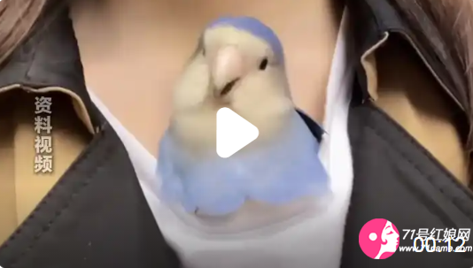 女子与鹦鹉互动