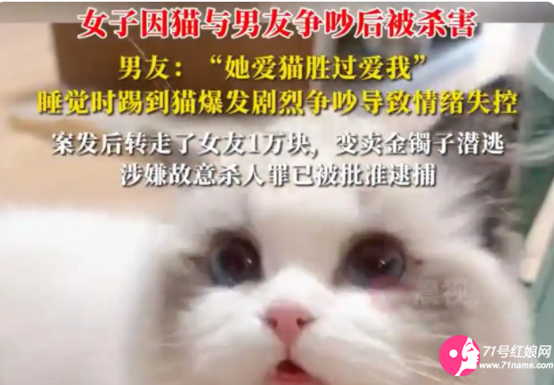 女子养的猫