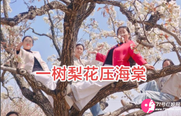 一树梨花压海棠