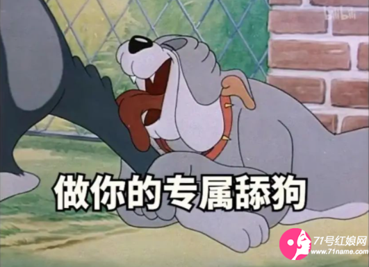 舔狗