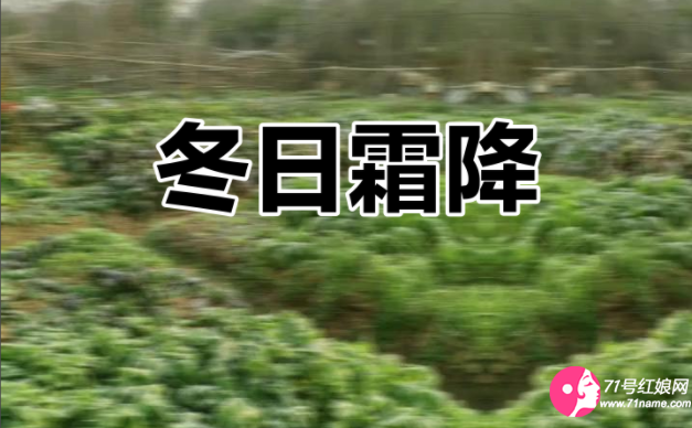 冬至严寒来年不顺
