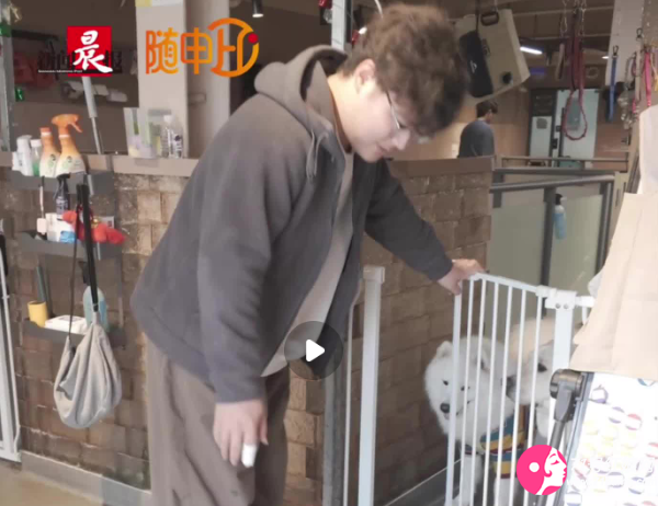 上海宠物狗日托